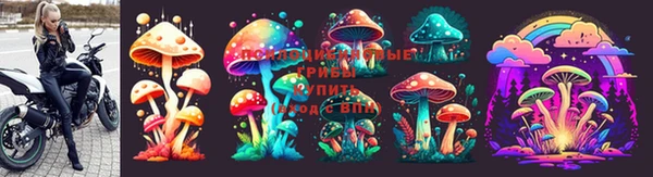 индика Заволжье