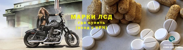 индика Заволжье
