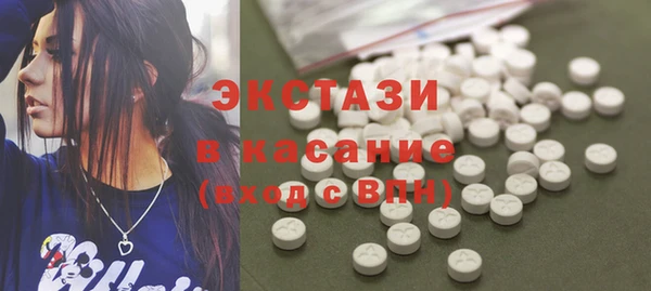 индика Заволжье