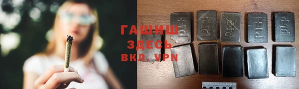 индика Заволжье