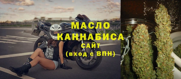 индика Заволжье