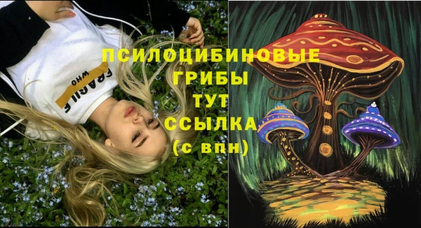 индика Заволжье