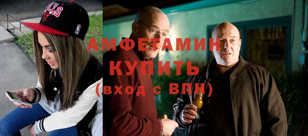 индика Заволжье