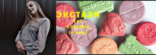 индика Заволжье