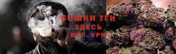 индика Заволжье