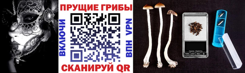 Галлюциногенные грибы мухоморы Купить где Заозёрск